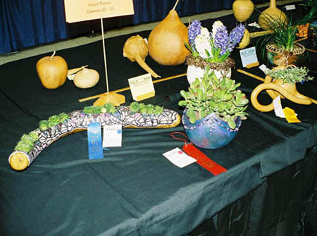 Gourd Art By Marty Snell